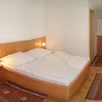 هيرنير فغن