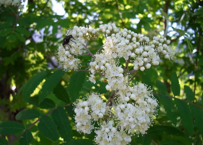 Apartment Hirner Fügen